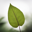 Vantikatechfeedspostsdefault icon