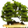 Wee Trees... icon