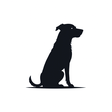 SitDropSt... icon