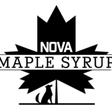 Nova Maple Syrup icon