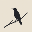 Thewryneck icon