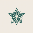 StarLink icon