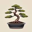 Bishopsfordbonsai icon