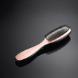 Salonsanityteam icon