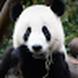 Oldwax icon
