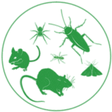 Termite T... icon