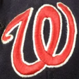 Washingto... icon