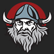 Viking La... icon
