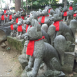 Tokyo Fox... icon