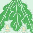 Druid Life icon