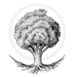Naturalis... icon