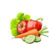 The Food ... icon