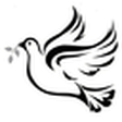 News - Bu... icon
