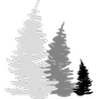 Blog - Tr... icon