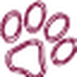 Hope Rescue icon