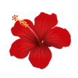 Dash of Jazz icon