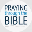 Praying T... icon