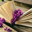 Amanda's Book Corner icon