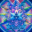 Quantum N... icon