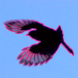 | Amazing... icon