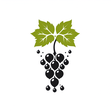 Viticultu... icon