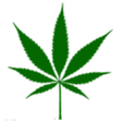 Green Hea... icon