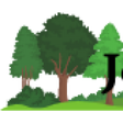 Jerwoodopenforest – Sustainable Forest Timber Windows icon