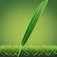 OC Turf &... icon