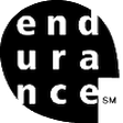 Endurance... icon