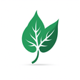 Plant Bas... icon