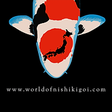 World of ... icon