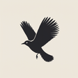 BIRDING - Kyoto, Kansai and Japan icon