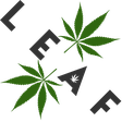 Leaf Nation icon