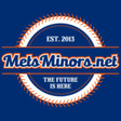 Mets Minors icon