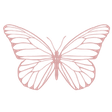 Papillon ... icon
