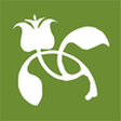 BLOG - To... icon