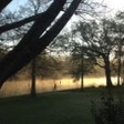 Reflections on the Teche icon
