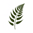 Moss Photography Blog icon