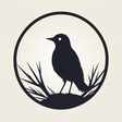 BirdForum icon