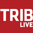 Triblivefeed icon