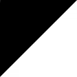 Prosport icon
