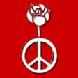 Labour Ca... icon