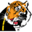 Law Tigers icon