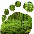 The Earth... icon