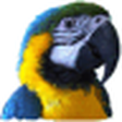 Parrot Es... icon