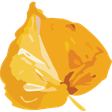 REcolorado icon