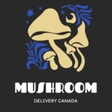 Shrooms D... icon