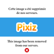 Pixiz RSS... icon