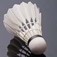 Badminton... icon