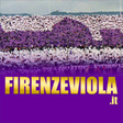 Firenze Viola icon